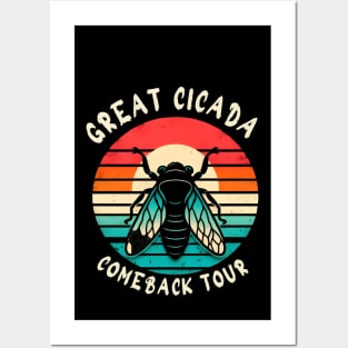 The Great Cicada Comeback tour 2024 Posters and Art